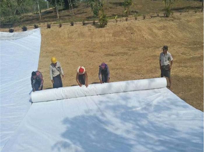  �L�z�������ɹ�����